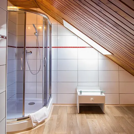 Lejlighed Podkrovny Apartman Centrum *