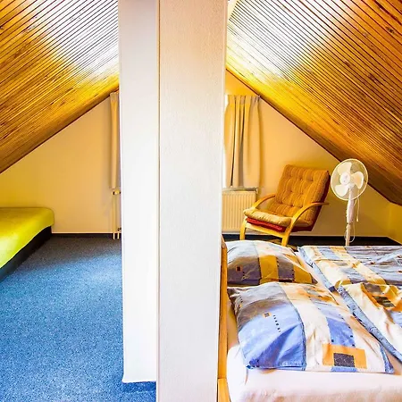 Lejlighed Podkrovny Apartman Centrum